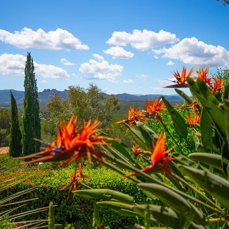 10 People Private Pool Near Saint-tropez