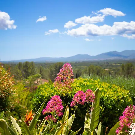 10 People Private Pool Near Saint-tropez * Roquebrune-sur Argens